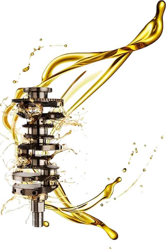ddc82f64b30a1c3561ee9b73d3006c97-Photoroom 1 (1)